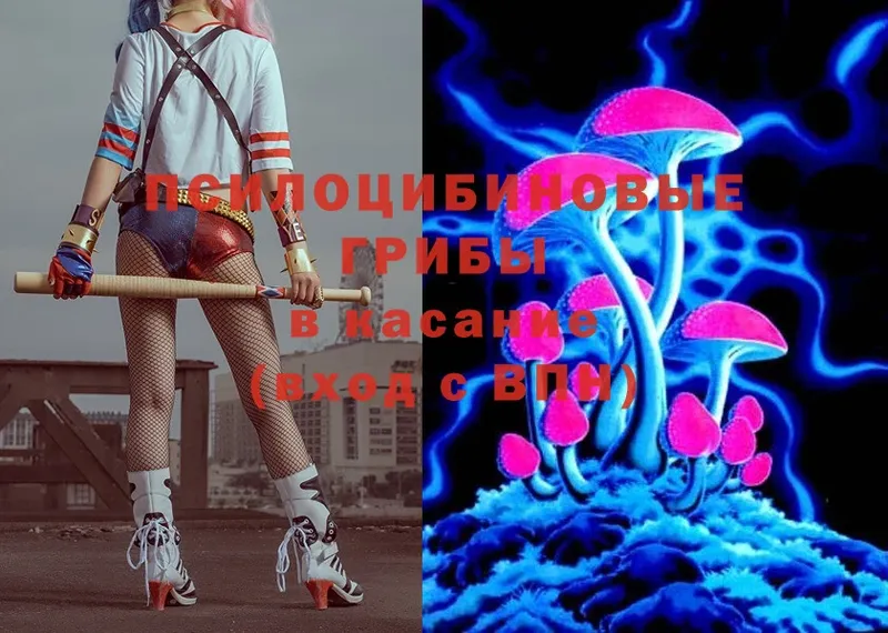 Галлюциногенные грибы MAGIC MUSHROOMS  мега как войти  Белово  купить  сайты 